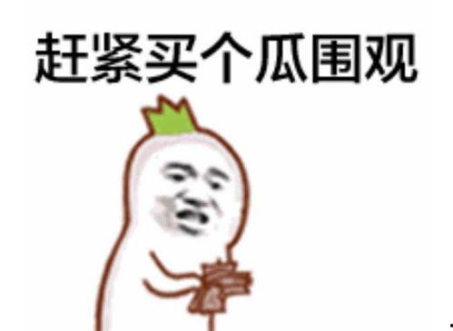 抖音娱乐圈吃瓜群众群聊,揭秘明星幕后故事，吃瓜群众热议不断